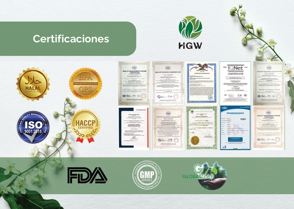 PROTEÍNA de Soja + Arándano — Nutrición Científica para tu Bienestar Diario.