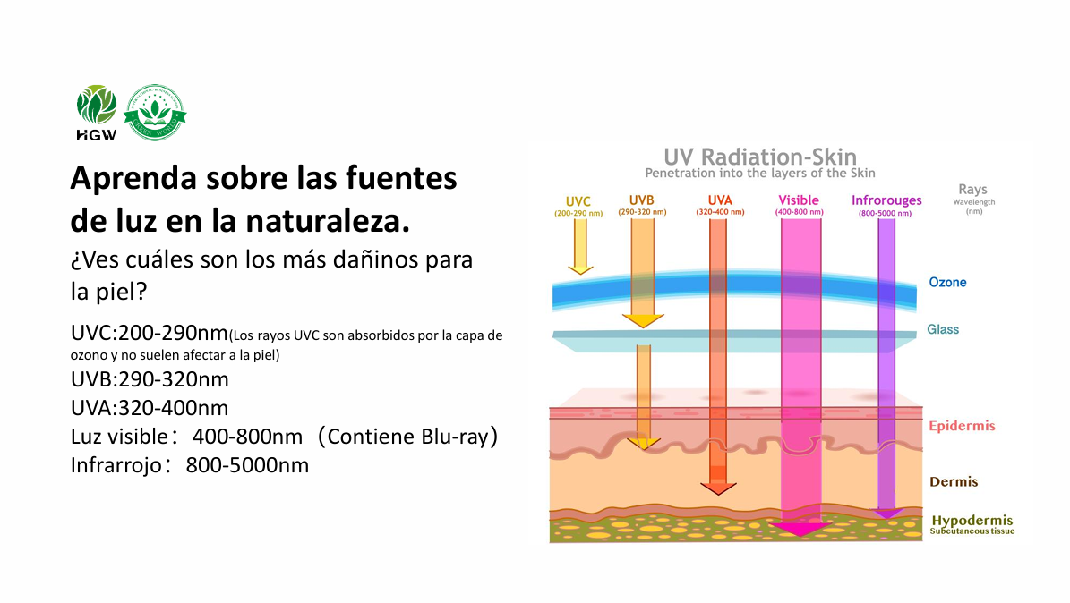☀ Protector Solar HGW SPF50 PA+++ – Protección avanzada con efecto blanqueador y antiedad