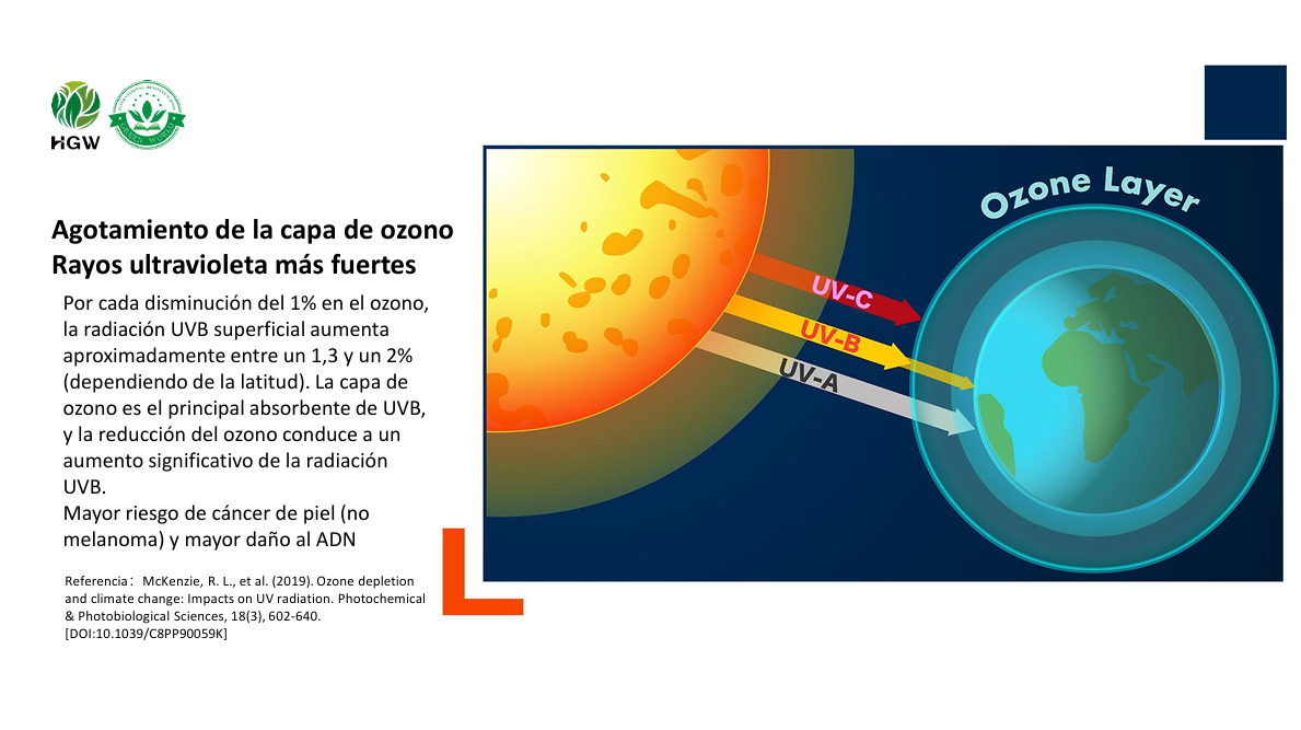 ☀ Protector Solar HGW SPF50 PA+++ – Protección avanzada con efecto blanqueador y antiedad