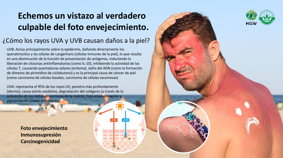 ☀ Protector Solar HGW SPF50 PA+++ – Protección avanzada con efecto blanqueador y antiedad