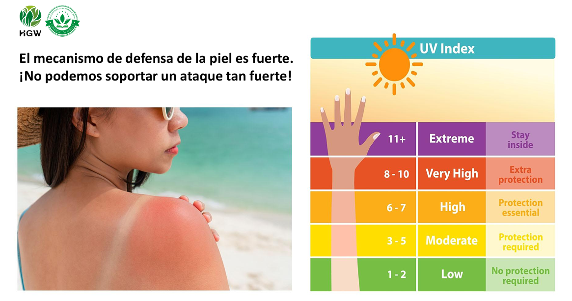 ☀ Protector Solar HGW SPF50 PA+++ – Protección avanzada con efecto blanqueador y antiedad